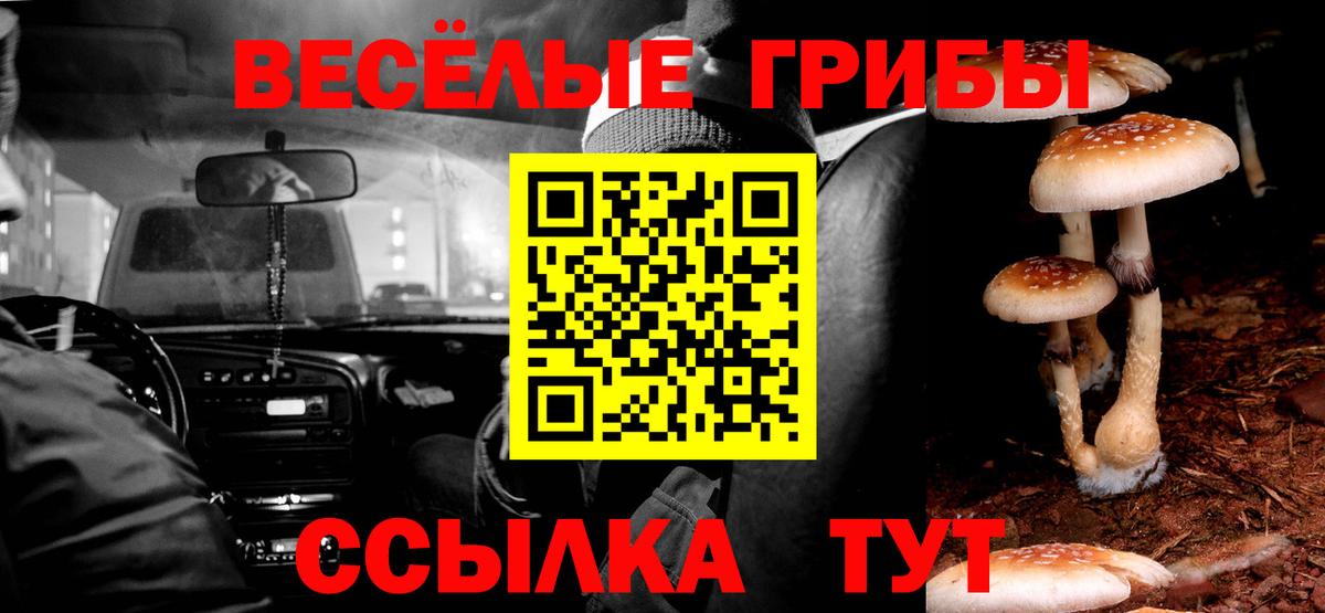 Галлюциногенные грибы Psilocybine cubensis Ковров